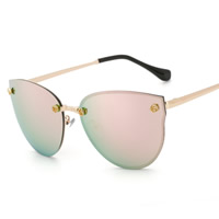 Fashion Sunglasses PC Plastic with PC plastic lens & Zinc Alloy plated Unisex Sold By PC