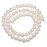 Perles de nacre rondes de culture d'eau douce, perle d'eau douce cultivée, naturel, blanc, 5-6mm, Trou:Environ 0.8mm, Vendu par Environ 14.5 pouce brin