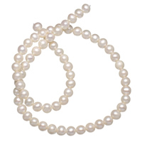 Cultured Round Freshwater Pearl Beads, natural, white, Grade A, 6-7mm, Hole:Approx 0.8mm, Sold Per 15.5 Inch Strand