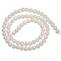 Perlas Redondas Freshwater, Perlas cultivadas de agua dulce, Esférico, natural, Blanco, 5-6mm, agujero:aproximado 0.8mm, Vendido para aproximado 15.5 Inch Sarta