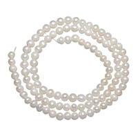 Cultured Round Freshwater Pearl Beads, natural, white, Grade A, 3-4mm, Hole:Approx 0.8mm, Sold Per 15.5 Inch Strand