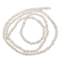 Button Kulturan Slatkovodni Pearl perle, Krug, bijel, 2-3mm, Rupa:Približno 0.5mm, Prodano Per 15 Strand