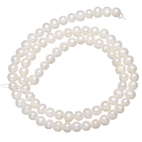 Perles nacres baroques de culture d'eau douce , perle d'eau douce cultivée, Rond, blanc, 5-6mm, Trou:Environ 0.8mm, Vendu par 15.5 pouce brin