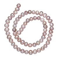 Tlačítko kultivované sladkovodní Pearl Beads, přírodní, nachový, 5-6mm, Otvor:Cca 0.8mm, Prodáno za Cca 14.5 inch Strand