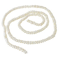 Tlačítko kultivované sladkovodní Pearl Beads, přírodní, bílý, 3-3.2mm, Otvor:Cca 0.8mm, Prodáno za Cca 15 inch Strand