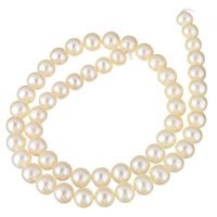 Cultured Potato Freshwater Pearl Beads natural white 7-8mm Approx 0.8mm Sold Per Approx 15 Inch Strand