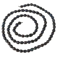 Perlas Arroz Freshwater, Perlas cultivadas de agua dulce, Negro, 3-4mm, agujero:aproximado 0.8mm, Vendido para aproximado 14.5 Inch Sarta