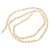 Keshi Cultured Freshwater Pearl Beads, natural, pink, 2-3mm, Hole:Approx 0.8mm, Sold Per Approx 14.5 Inch Strand