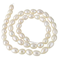 Riso coltivato in perla d'acqua dolce, perla d'acquadolce coltivata naturalmente, naturale, bianco, 7-8mm, Foro:Appross. 0.8mm, Venduto per Appross. 15.5 pollice filo