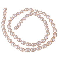 Cultured Rice Freshwater Pearl Beads, natural, purple, 5-6mm, Hole:Approx 0.8mm, Sold Per Approx 15 Inch Strand