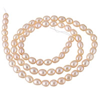 Rice Kulturan Slatkovodni Pearl perle, Riža, prirodan, roze, 4-5mm, Prodano Per Približno 15.3 inčni Strand