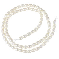 Keishi ferskvandskulturperle Beads, Ferskvandsperle, naturlig, hvid, 3-4mm, Solgt Per Ca. 15 inch Strand