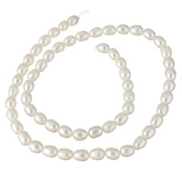 Perlas Arroz Freshwater, Perlas cultivadas de agua dulce, natural, Blanco, 5-6mm, agujero:aproximado 0.8-1mm, Vendido para aproximado 15 Inch Sarta
