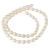 Cultured Rice Freshwater Pearl Beads, natural, white, 5-6mm, Hole:Approx 0.8mm, Sold Per Approx 15 Inch Strand