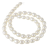 Cultured Rice Freshwater Pearl Beads, natural, white, 7mm, Hole:Approx 0.8mm, Sold Per Approx 15 Inch Strand
