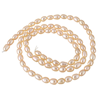 Cultured Rice Freshwater Pearl Beads, natural, pink, 3-4mm, Hole:Approx 0.8mm, Sold Per Approx 15.7 Inch Strand