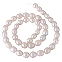 Perlas Arroz Freshwater, Perlas cultivadas de agua dulce, natural, Rosado, 7-8mm, agujero:aproximado 0.8mm, Vendido para aproximado 15.3 Inch Sarta