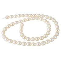 Naturales agua dulce perlas sueltas, Perlas cultivadas de agua dulce, Blanco, 6-7mm, agujero:aproximado 0.8mm, Vendido para aproximado 15.3 Inch Sarta