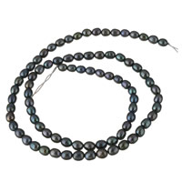 Cultured Rice Freshwater Pearl Beads, blue, 4-5mm, Hole:Approx 0.8mm, Sold Per Approx 15.7 Inch Strand