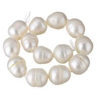 Button Kulturan Slatkovodni Pearl perle, prirodan, bijel, 12-16mm, Rupa:Približno 0.8mm, Prodano Per Približno 16 inčni Strand