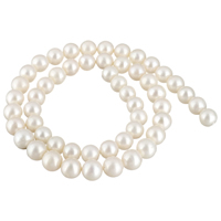 Brambor pěstované sladkovodní perle, Sladkovodní Pearl, přírodní, bílý, 7-8mm, Otvor:Cca 0.8mm, Prodáno za Cca 15.5 inch Strand