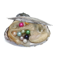 Freshwater Cultured Love Wish Pearl Oyster, more colors for choice, 7-8mm, 5PCs/Lot, Sold By Lot