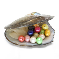 Freshwater Cultured Love Wish Pearl Oyster, Potato, more colors for choice, 9-10mm, Hole:Approx 0.8mm, Sold By PC