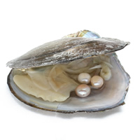 Freshwater Cultured Love Wish Pearl Oyster, more colors for choice, 8-9mm, Hole:Approx 0.8mm, Sold By PC