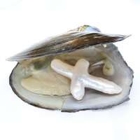 Huître perlière d’eau douce cultivées amour désir, perle, croix, 26x45x9mm, Vendu par PC