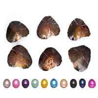 Sötvatten odlad kärlek önskar pärla ostron, Ris, fler färger för val, 9-9.5mm, Säljs av PC