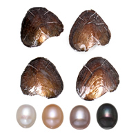 Huître perlière d’eau douce cultivées amour désir, perle, riz, plus de couleurs à choisir, 9-9.5mm, Vendu par PC