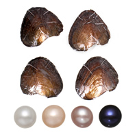 Freshwater Cultured Love Wish Pearl Oyster, Potato, more colors for choice, 7-8mm, Sold By PC