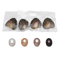 Freshwater Cultured Love Wish Pearl Oyster, Rice, mixed colors, 7.5-8mm, 4PCs/Lot, Sold By Lot