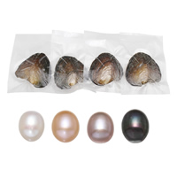 Amor de cultivo de agua dulce Wish Pearl Oyster, perla, Arroz, color mixto, 9-9.5mm, 4PCs/Grupo, Vendido por Grupo