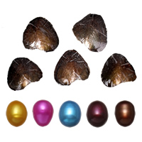 Freshwater Cultured Love Wish Pearl Oyster, Rice, mixed colors, 9-9.5mm, 5PCs/Lot, Sold By Lot