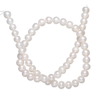 Perles de nacre rondes de culture d'eau douce, perle d'eau douce cultivée, naturel, blanc, grade A, 7-8mm, Trou:Environ 0.8mm, Vendu par 15 pouce brin
