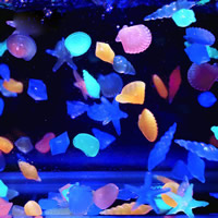 Plastic Glowstone, luminated, more colors for choice, 20-40mm, Approx 375PCs/KG, Sold By KG