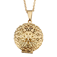 Fashion Locket Pendants, Stainless Steel, Flat Round, gold color plated, oval chain & for woman & hollow, 27x32x7mm,  2mm, Inner Diameter:Approx 18.5mm, Sold Per Approx 17.5 Inch Strand