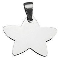 Stainless Steel Pendants, Star, original color, 27x22x2mm, Sold By PC