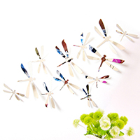 Wall Stickers & Decals PVC Plastic Dragonfly adhesive & 3D & waterproof 70mm 85mm 110mm Sold By Set