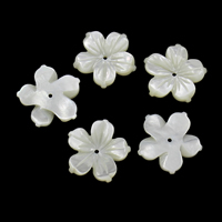 Weiße Lippenschale Perlen, Blume, 19x2.5mm, Bohrung:ca. 1mm, 10PCs/Tasche, verkauft von Tasche