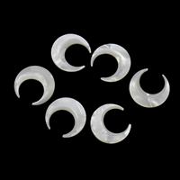 Shell-Cabochons, Conchiglia bianca, Luna, 13x13x2mm, 50PC/borsa, Venduto da borsa