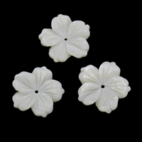 Weiße Lippenschale Perlen, Süßwassermuschel, Blume, weiß, 20x2.5mm, Bohrung:ca. 1.5mm, 50PCs/Tasche, verkauft von Tasche