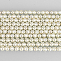 South Sea Shell perler, Runde, forgyldt, for kvinde, klasse A, 8mm, Hole:Ca. 1mm, Ca. 49pc'er/Strand, Solgt Per Ca. 16 inch Strand