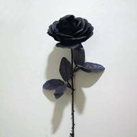 Sztuczny kwiat dekoracyjny, Sztuczny jedwab, czarny, 100x600mm, sprzedane przez PC