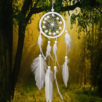 Fashion Dream Catcher, Feather, with Velveteen Cord & Wood, 510mm, Sold By PC
