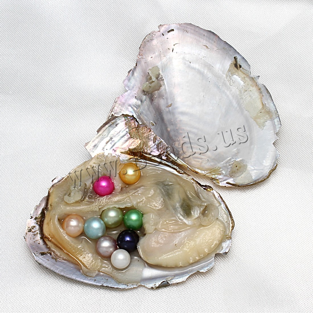 7-11 Psc New Arrive Jewelry Gifts Shell Wish Pearl Oyster Vacuum