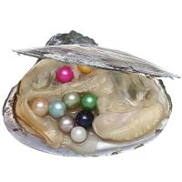 Freshwater Cultured Love Wish Pearl Oyster, more colors for choice, 7-8mm, Sold By PC