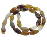 Lace Agate Beads, Drum, 8x16mm, Hole:Approx 1mm, 24PCs/Strand, Sold Per Approx 14.9 Inch Strand