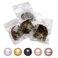 Akoya Cultured Pearls Sea Mussel, Potato, more colors for choice, 9-10mm, Sold By PC